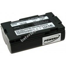 Bateria do Panasonic DZ-MX5000 1100mAh